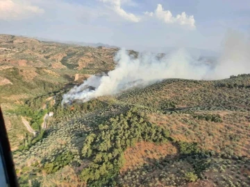 Aydın’da orman yangını: Havadan ve karadan müdahale ediliyor
