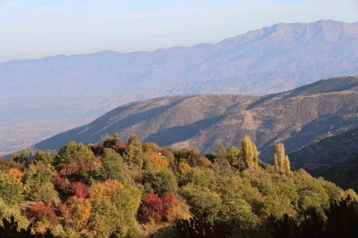 Aydın dağlarındaki sonbahar manzaraları mest ediyor
