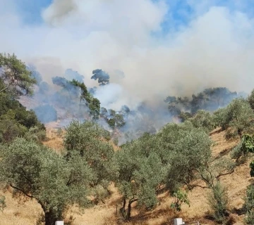 Aydın’daki yangına havadan ve karadan müdahale devam ediyor
