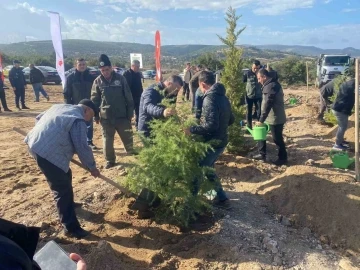 Ayvacık’ta 600 fidan toprakla buluştu
