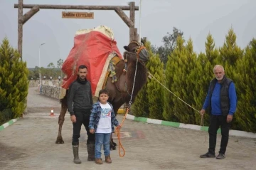 Ayvalık, deve güreşleri şölenine hazırlanıyor
