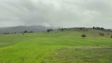 Baharda sisle buluşan Ilgaz Dağı’nın eteklerinde ortaya çıkan manzara mest etti
