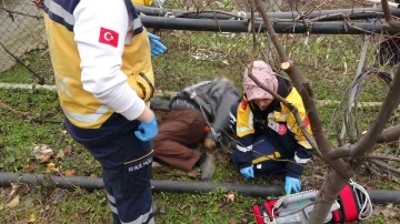 Bahçede çalışırken kalp krizine yenik düştü
