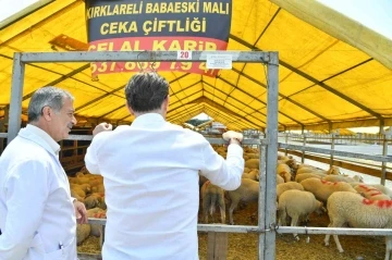 Bahçelievler Belediyesi Kurban Bayramı hazırlıklarını tamamladı
