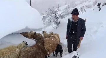 Bahçesaray’da hayvanların tünelli geçişi
