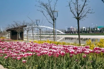 Bahar tüm güzelliğiyle Bursa'ya geldi 