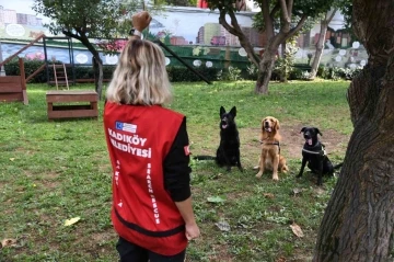 BAK-Kadıköy’ün yeni üyesi Coco
