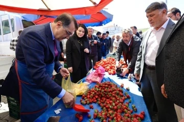 Bakan Dönmez pazarcı önlüğünü giydi, çilek tezgâhının başına geçti
