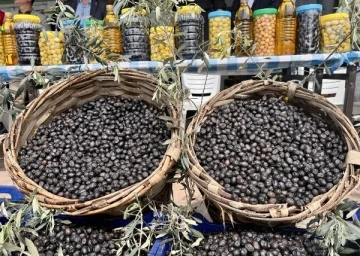 Bakan Varank'tan AB tescili yolundaki Gemlik zeytini üreticilerine ziyaret - Yeniden