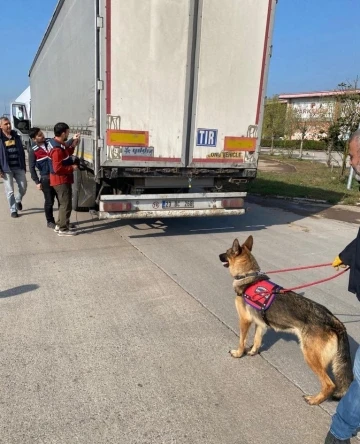 Bakan Yerlikaya duyurdu: Sakarya ve Hatay’da 39 göçmen kaçakçısı organizatör yakalandı
