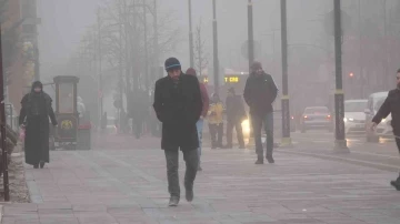 Balık tüketimi kış mevsiminin neden olduğu depresyonu önleyebilir
