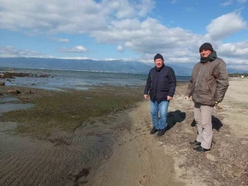 Balıkesir’de deniz çekildi, 2 bin 500 yıllık antik liman ortaya çıktı
