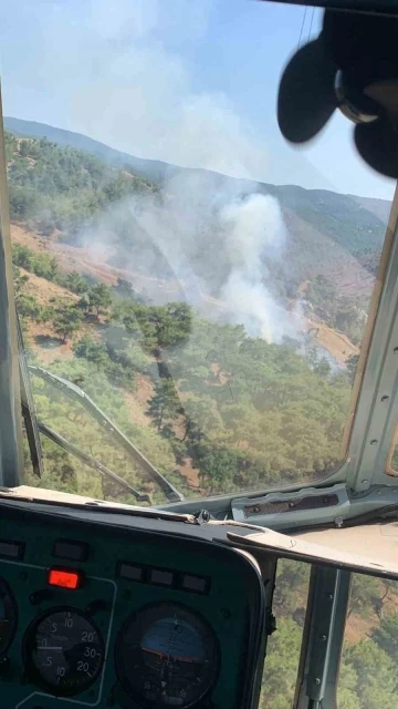 Balıkesir’de orman yangını
