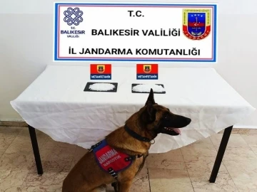 Balıkesir’de uyuşturucu ve kaçak silah operasyonları: 8 gözaltı
