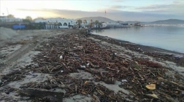 Balıkesir'de lodosta yükselen dalgaların sahile biriktirdiği ağaç parçaları toplanıyor