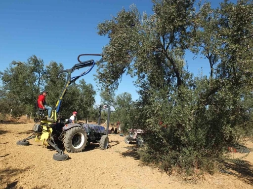 Balıkesirli kaşifin yaptığı makineler zeytin hasadını kolaylaştırdı
