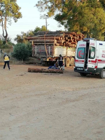 Başına tomruk düşen adam hayatını kaybetti
