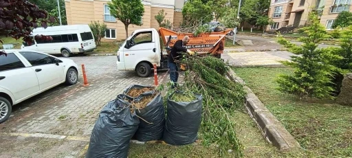 Başiskele’de moloz alım günlerine dikkat: &quot;Evinizi Yenilerken Evimizi Kirletmeyelim&quot;
