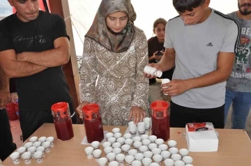 Batman’da dağlardan toplanan şifa kaynağı sumak ailelere geçim kaynağı oluyor
