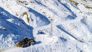 Batman’da kar yağışı nedeniyle kapanan köy yolları ulaşıma açıldı
