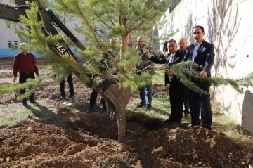 Bayburt’ta okul bahçeleri yeşilleniyor
