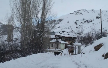 Bayburt’un yüksek kesimlerinde kar yağışı etkili oldu
