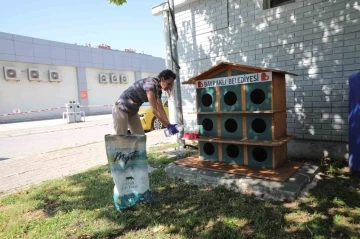 Bayraklı’da can dostlar için bir kap su kampanyası
