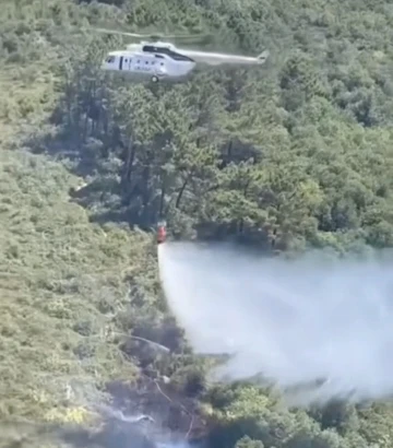 Beykoz’da çıkan orman yangını söndürüldü
