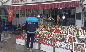 Beyşehir’de balık satış noktalarında denetim
