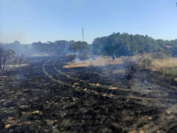 Biga’da ormanlık alanda çıkan yangın kontrol altına alındı
