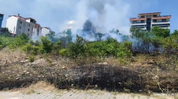 Bilecik’te makilik çıkan yangın büyümeden söndürüldü
