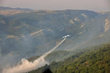 Bilecik’teki orman yangını kontrol altına alındı
