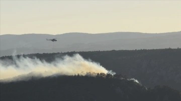 Bilecik'te dün çıkan orman yangınına müdahale sürüyor