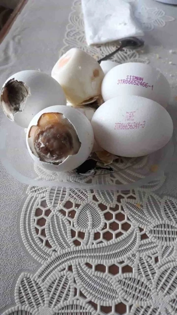 BİM’den aldığı yumurtaların hepsi bozuk çıktı
