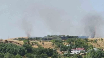 Bingöl’de ağaçlık alanda çıkan yangın büyümeden söndürüldü
