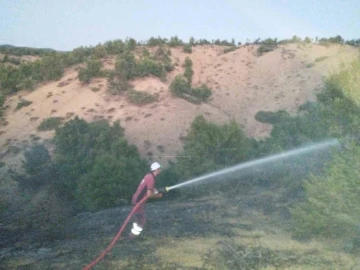 Bingöl’de orman yangını büyümeden söndürüldü
