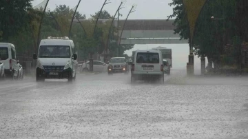 Bingöl’de sağanak yağış etkili oldu
