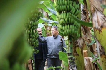 Bir zamanlar et fiyatıyla yarışıyordu, şimdi her eve giriyor
