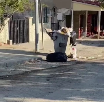 Biriken çöpler ilçede tepkilere neden oluyor