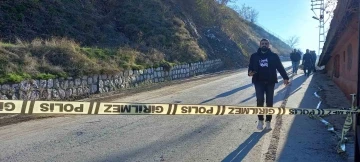 Bitlis’te toprak kayması
