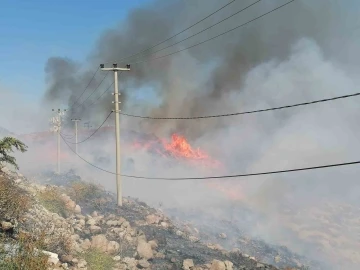 Bodrum’da yangın