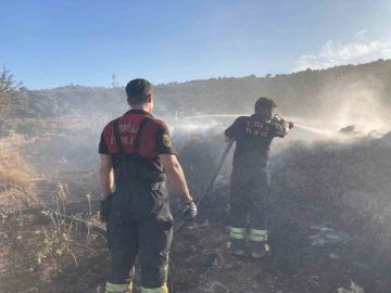 Bodrum’da makilik alanda yangın
