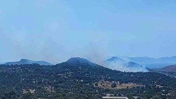 Bodrum’da makilik alanda yangın
