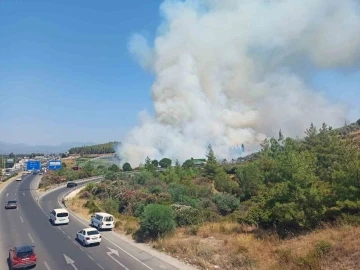 Bodrum yangını büyüyor
