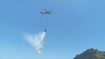 Bodrum'da makilik ve otluk alanda yangın çıktı