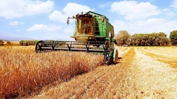 Bolu’da hasat dönemi arpa ile başladı
