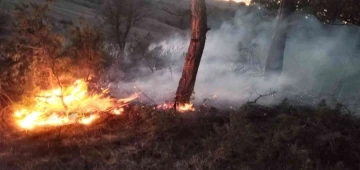 Bolu’da orman yangını
