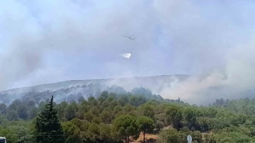 Bornova’daki orman yangını kontrol altına alındı
