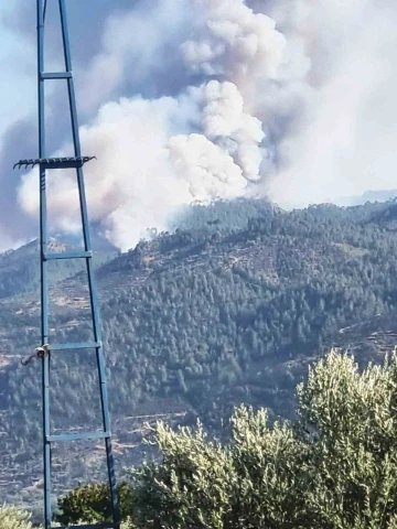 Bozdoğan’da orman yangını
