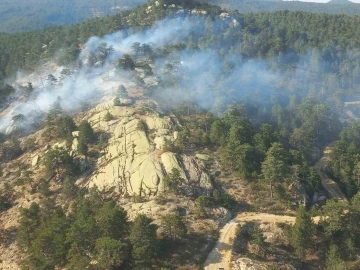 Bozdoğan’daki orman yangını kontrol altına alındı
